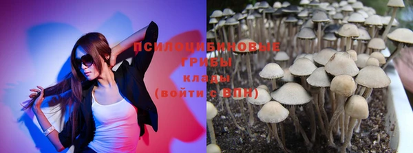 молекула духа Абинск