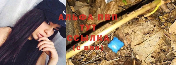соль ск Абаза