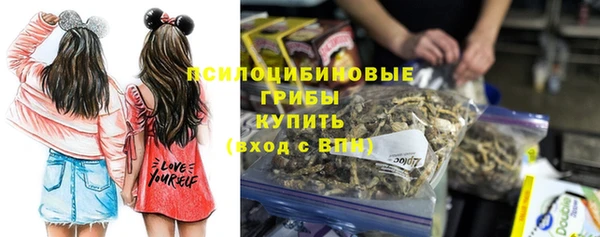 соль ск Абаза
